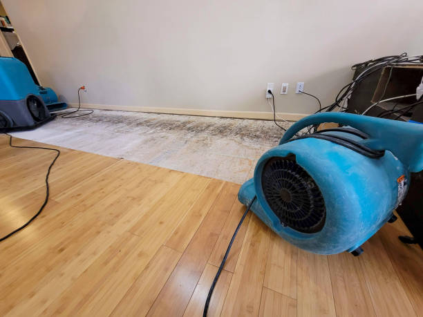 Professional Burst Pipe Water Damage technician working in Junction City, KY